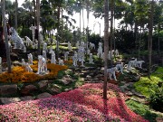 565  Nong Nooch tropical garden.JPG